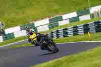 cadwell-no-limits-trackday;cadwell-park;cadwell-park-photographs;cadwell-trackday-photographs;enduro-digital-images;event-digital-images;eventdigitalimages;no-limits-trackdays;peter-wileman-photography;racing-digital-images;trackday-digital-images;trackday-photos